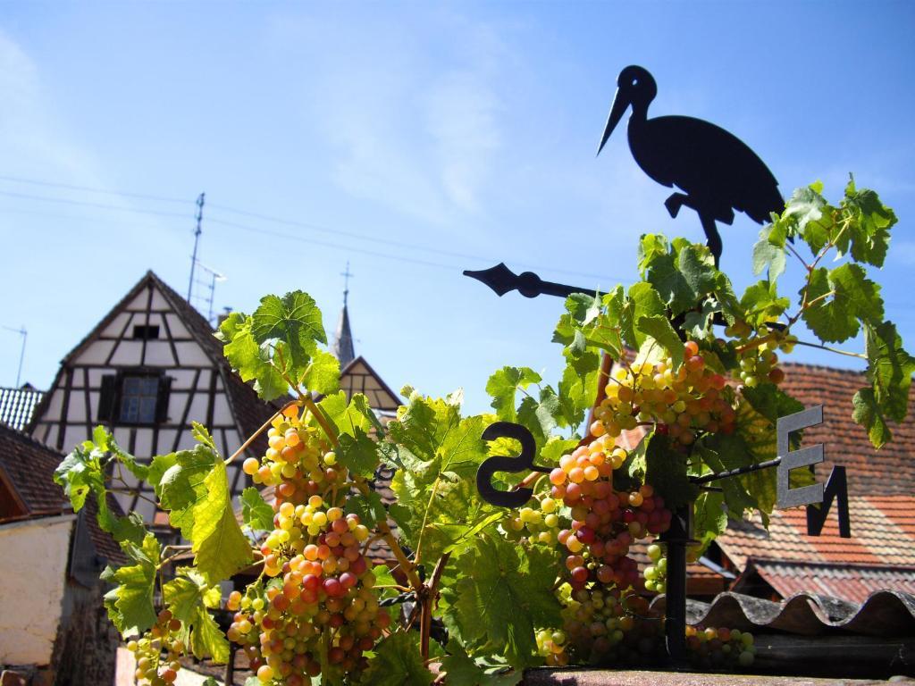 B&B Le Clos Des Raisins Beblenheim Eksteriør bilde