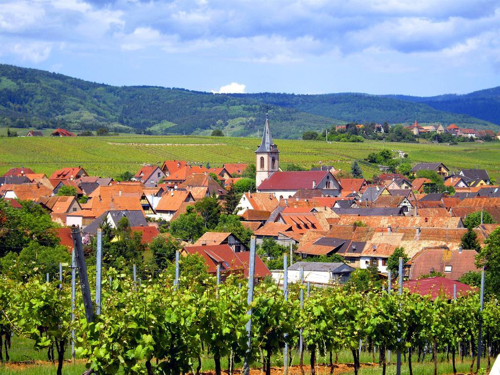 B&B Le Clos Des Raisins Beblenheim Eksteriør bilde