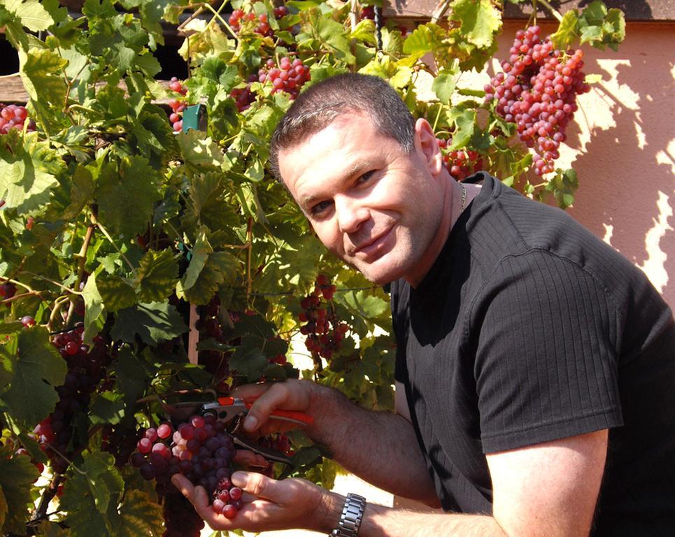 B&B Le Clos Des Raisins Beblenheim Eksteriør bilde